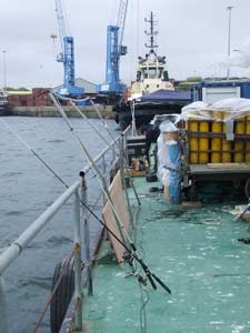 fishing2