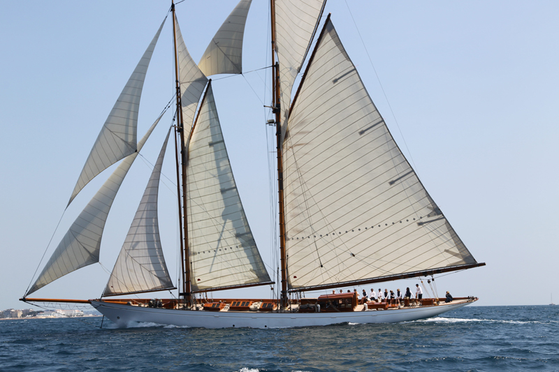 Pendennis Cup
