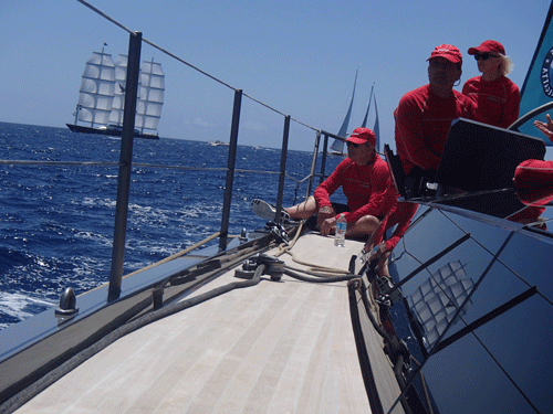 Maltese Falcon from Chrisco at St Barths Bucket